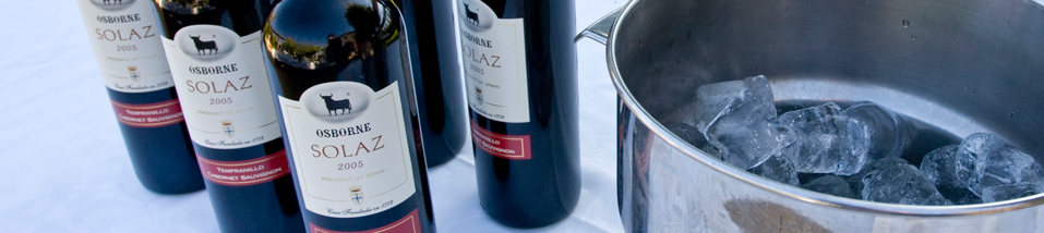 Catering en Talavera