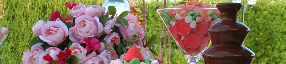 Catering en Talavera